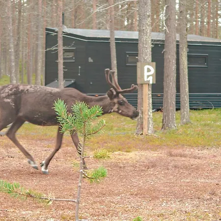 Lapland Riverside 4 Hilla , Yllaes, Tiny With Sauna, Fireplace, Terrace, Bbq, Wifi, Ski, Fishing, Pets Ok