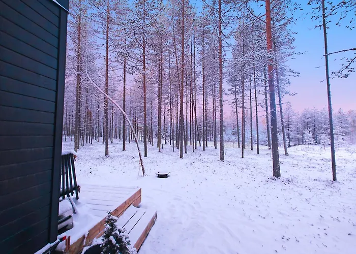 Lapland Riverside 4 Hilla , Yllaes, Tiny With Sauna, Fireplace, Terrace, Bbq, Wifi, Ski, Fishing, Pets Ok